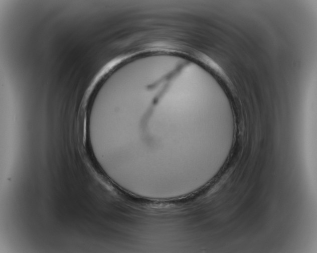 X0000083551323200703091546