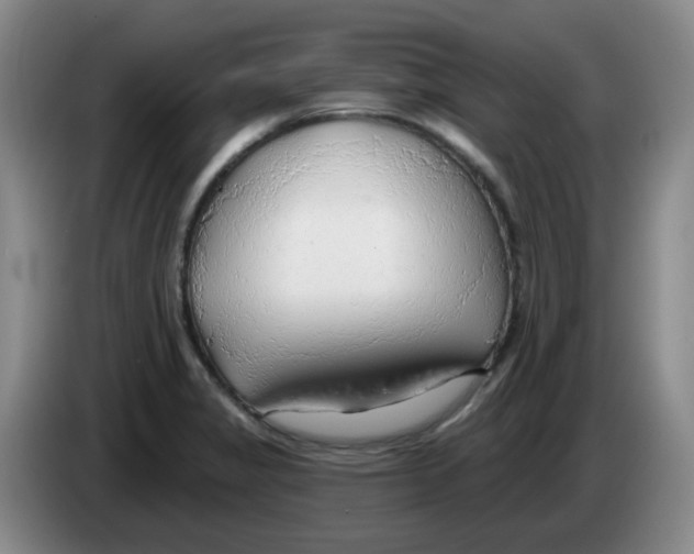 X0000083551325200703091546