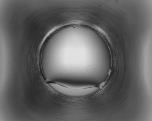 X0000083551326200703091546