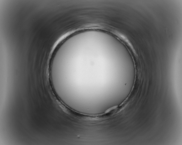 X0000083551328200703091546