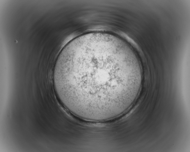 X0000083551329200703091546