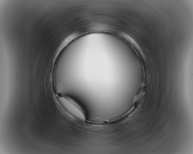 X0000083551330200703091546