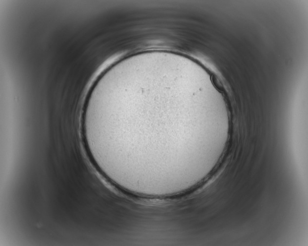 X0000083551333200703091546