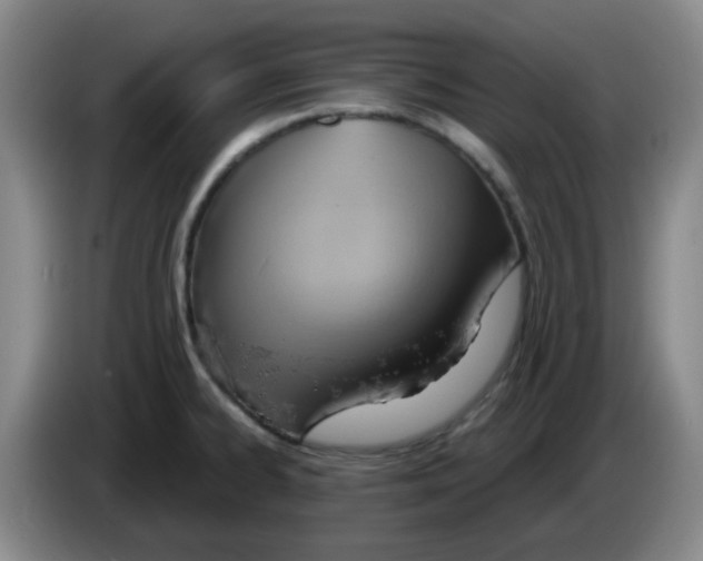 X0000083551334200703091546