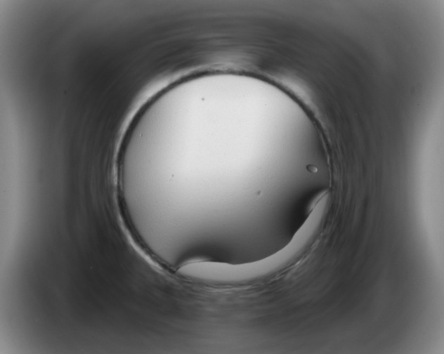 X0000083551335200703091546