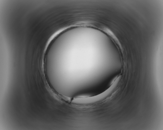 X0000083551336200703091546