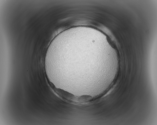 X0000083551337200703091546