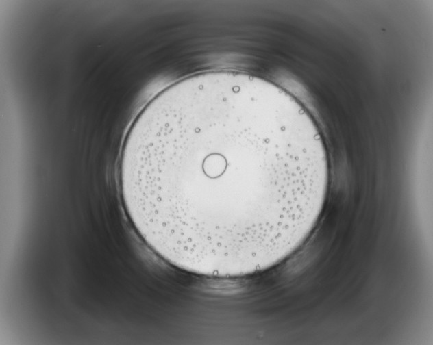 X0000083551338200703091546