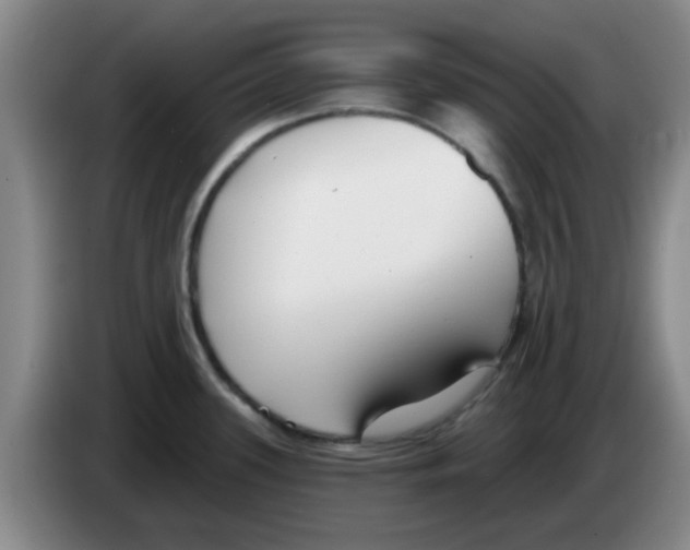 X0000083551339200703091546