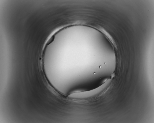 X0000083551340200703091546