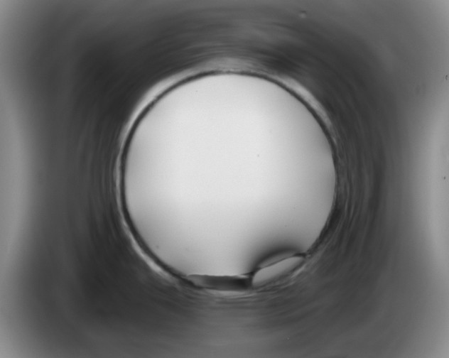 X0000083551343200703091546