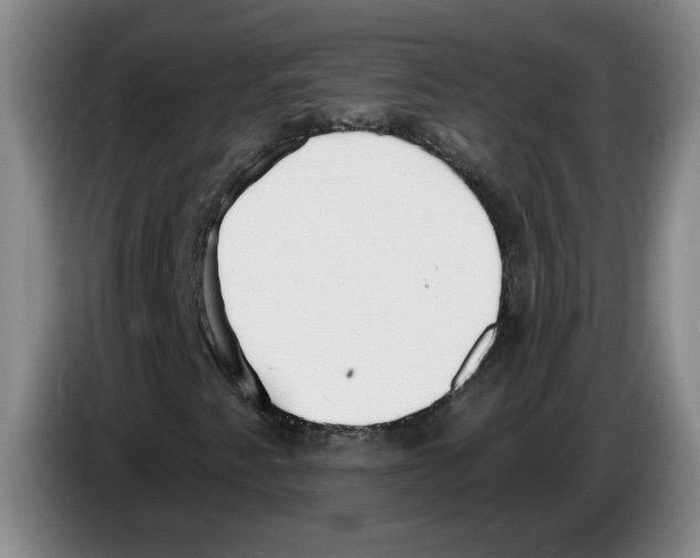 X0000083551345200703091545