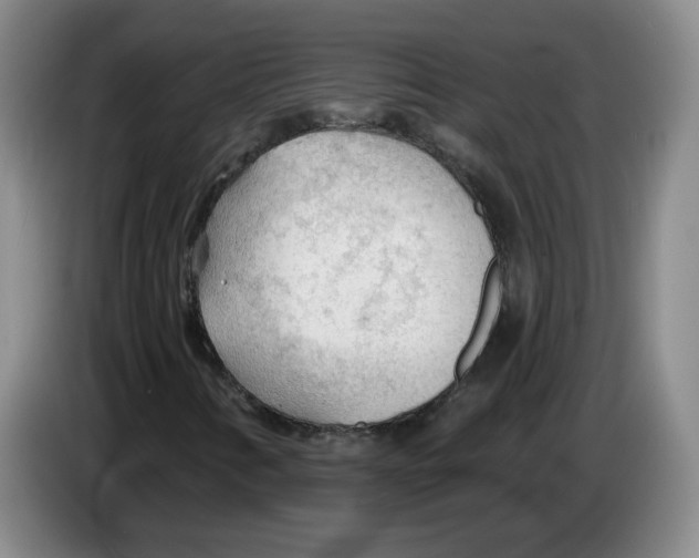 X0000083551346200703091545
