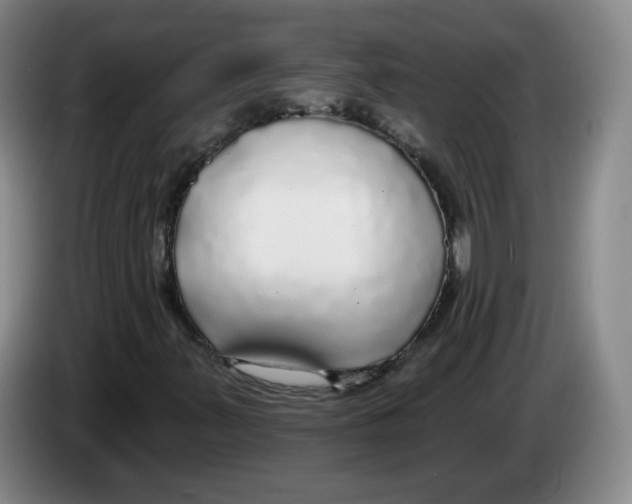 X0000083551347200703091545