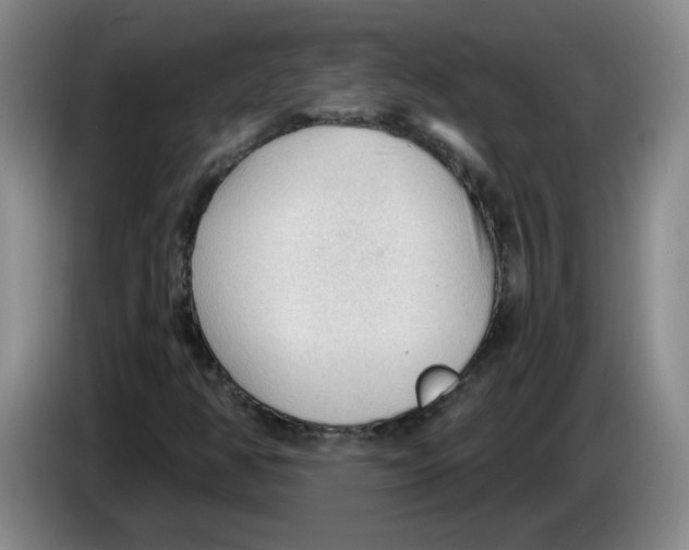 X0000083551350200703091545