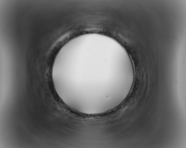X0000083551351200703091545