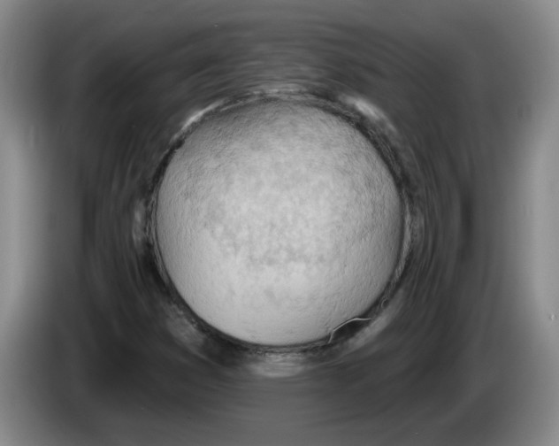 X0000083551353200703091545