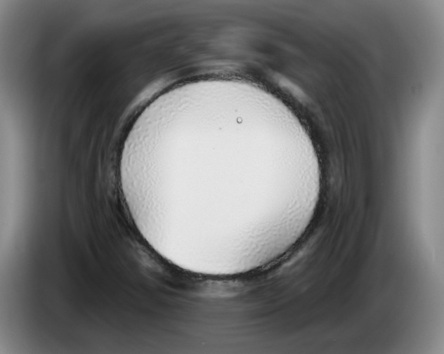 X0000083551354200703091545