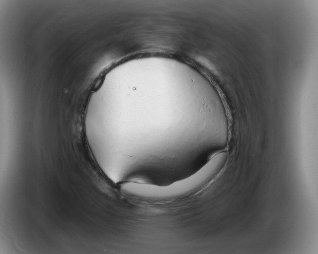 X0000083551355200703091545