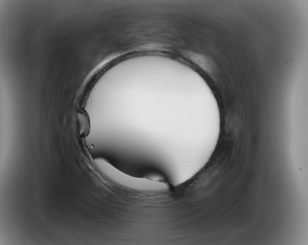X0000083551356200703091545