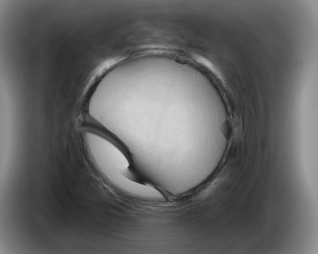 X0000083551357200703091545