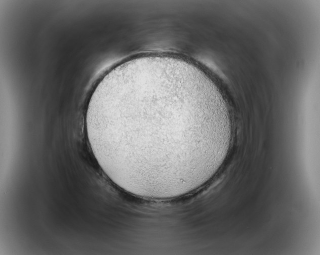 X0000083551358200703091545