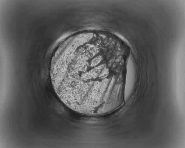 X0000083551359200703091545