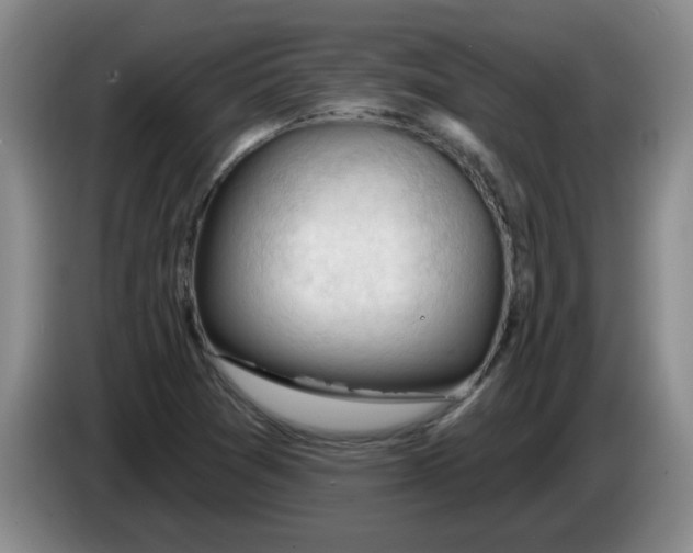 X0000083551361200703091545