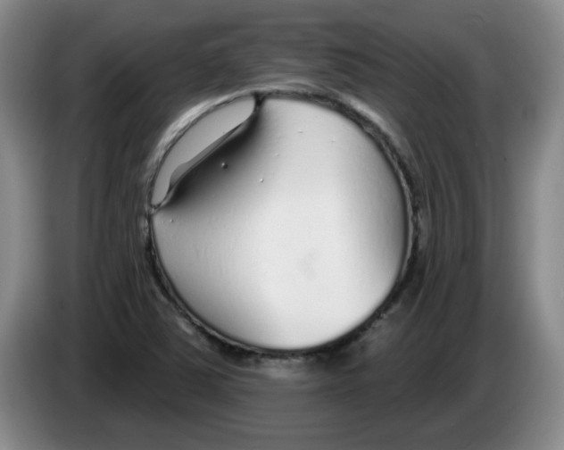 X0000083551363200703091545