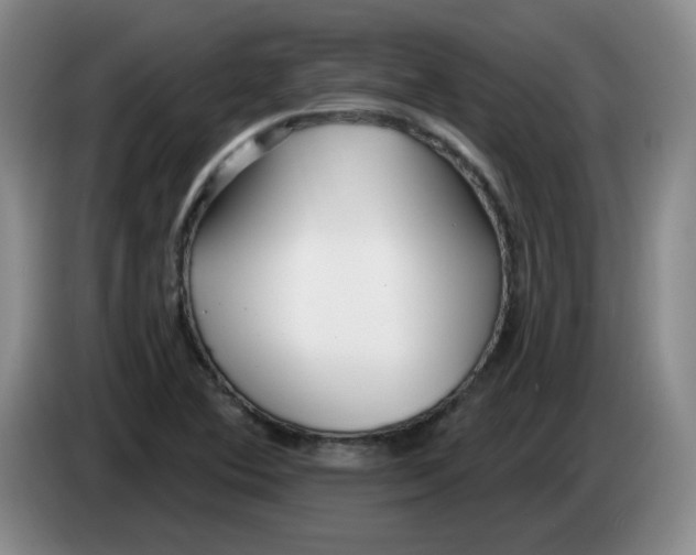 X0000083551364200703091545