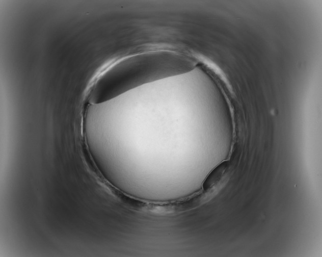 X0000083551365200703091545