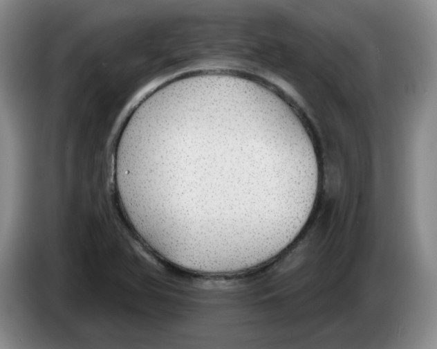 X0000083551366200703091545