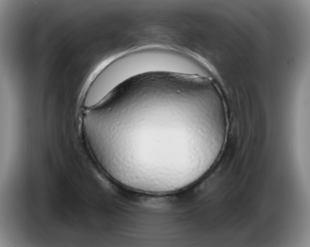 X0000083551367200703091545