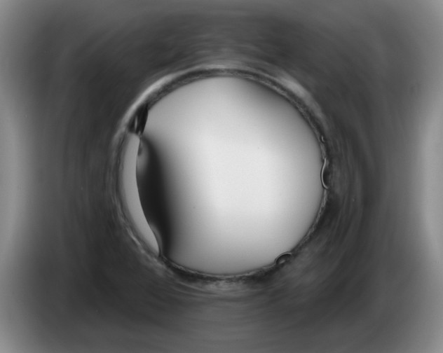 X0000083551368200703091545