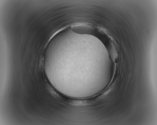 X0000083551369200703091545