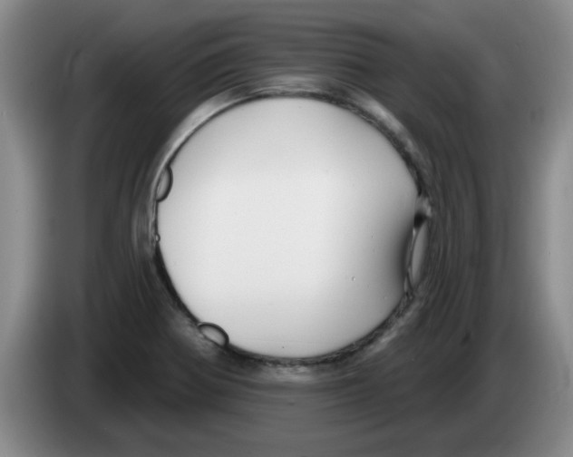 X0000083551370200703091545