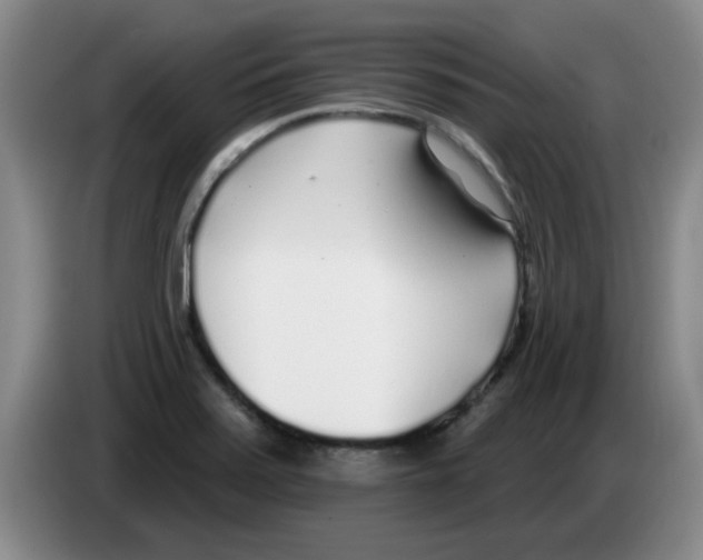 X0000083551371200703091545