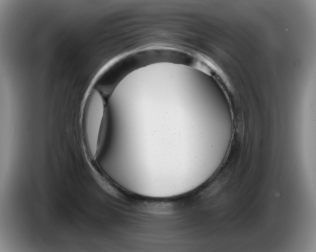 X0000083551372200703091545