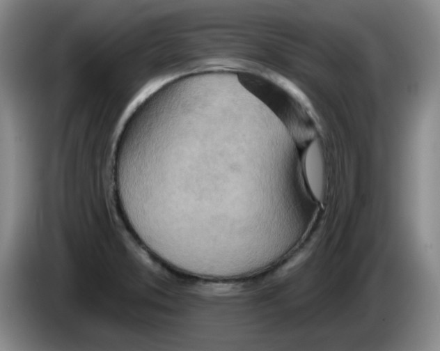 X0000083551373200703091545