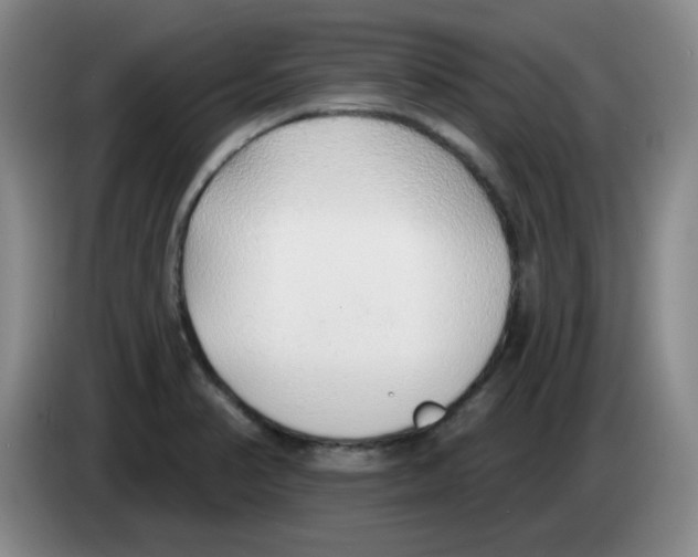 X0000083551374200703091545