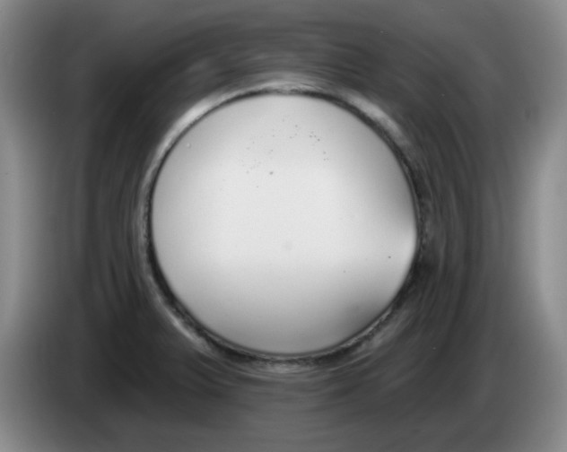 X0000083551375200703091545