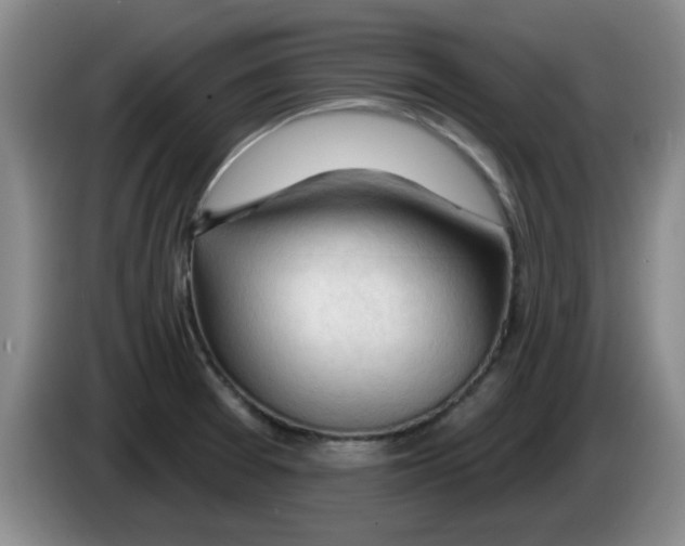 X0000083551377200703091545