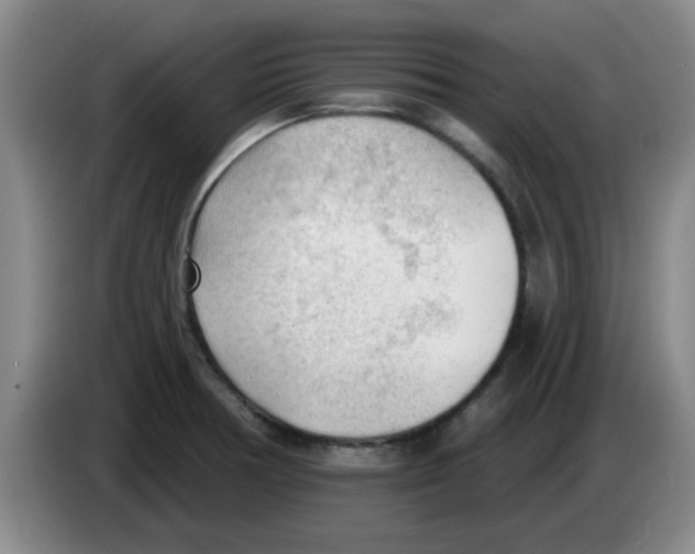 X0000083551378200703091545
