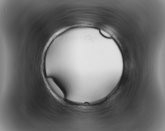 X0000083551379200703091545