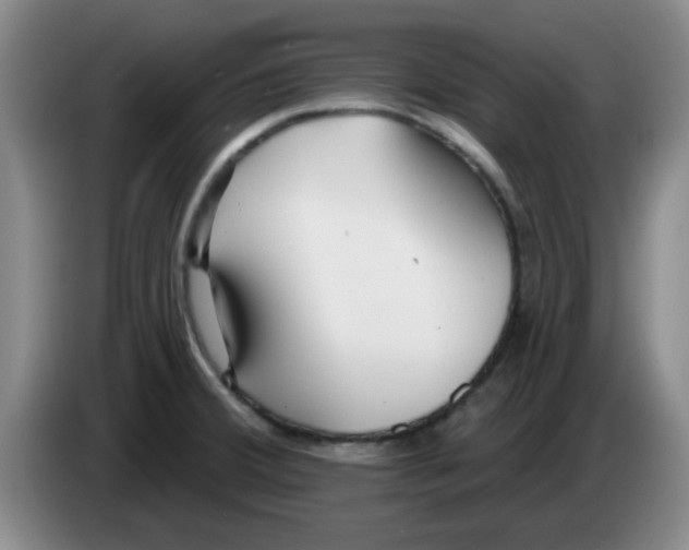 X0000083551380200703091545