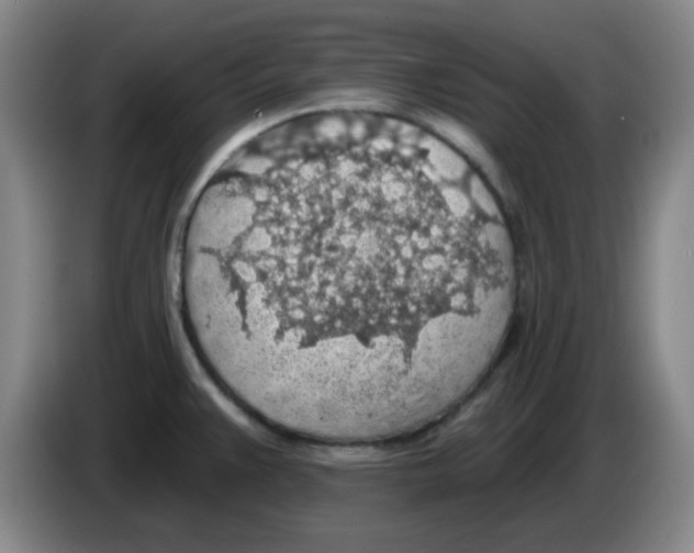 X0000083551383200703091545