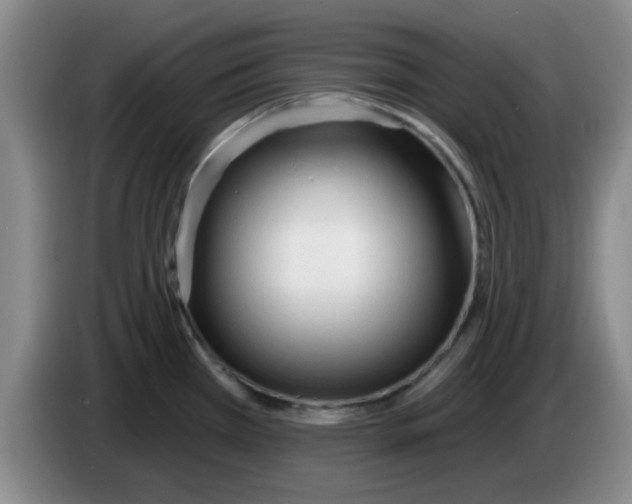 X0000083551385200703091545