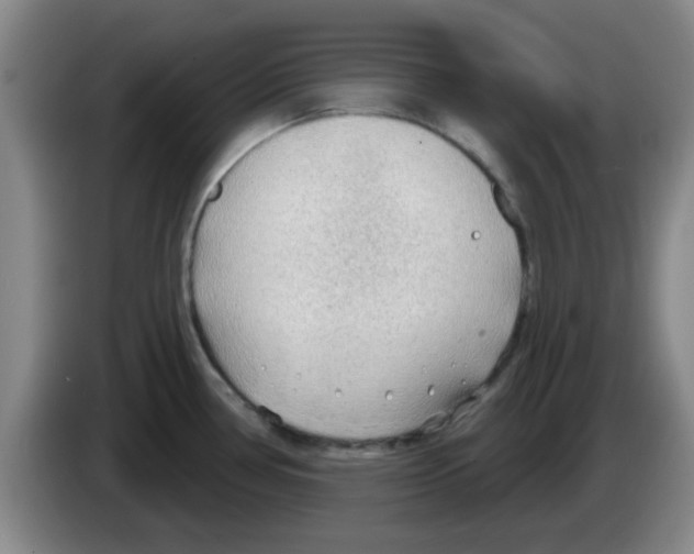X0000083551386200703091545