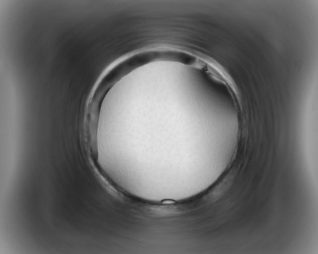 X0000083551388200703091545