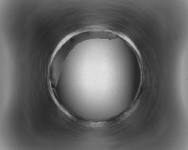 X0000083551389200703091545